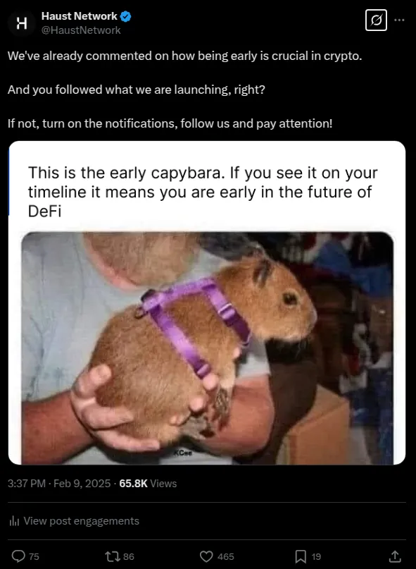 Capybara meme on being early in DeFi, Feb 9, 2025: 65.8K views